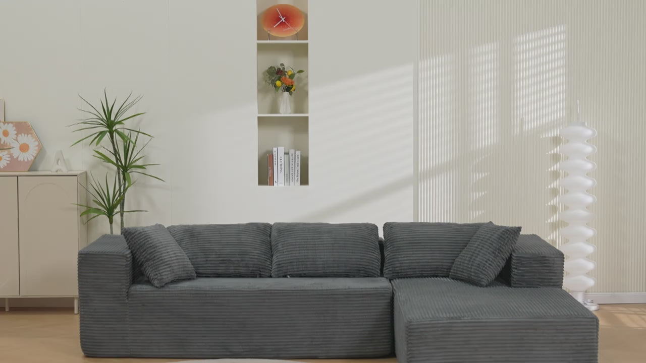 Charger la vidéo : 